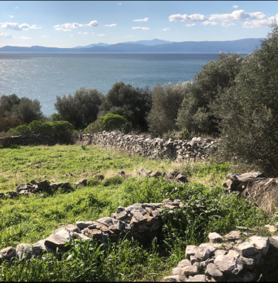 Οικόπεδο 4,5 στρμ. Πόρτο Μπούφαλο Εύβοια 