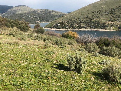 Οικόπεδο 7στρμ. Πόρτο Μπούφαλο Εύβοια