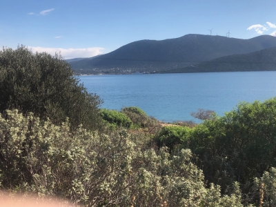 Οικόπεδο 7στρμ. Πόρτο Μπούφαλο Εύβοια