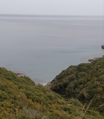 Οικόπεδο 10 στρμ. Παραλία Καλάμου Εύβοια