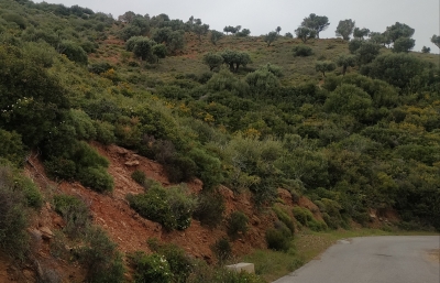 Οικόπεδο 10 στρμ. Παραλία Καλάμου Εύβοια